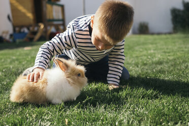 Kleiner Junge streichelt ein Kaninchen im Garten - MOMF00684