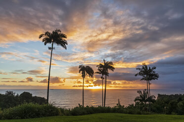 USA, Hawaii, Big Island, Onomea Bay bei Sonnenuntergang - FOF10619