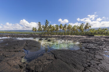 USA, Hawaii, Big Island, Pu'uhonua o Honaunau National Park, Lavaküste - FOF10626