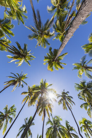 USA, Hawaii, Große Insel, Pu'uhonua o Honaunau National Park, lizenzfreies Stockfoto