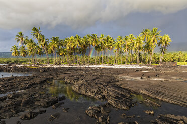 USA, Hawaii, Big Island, Pu'uhonua o Honaunau National Park, Lavaküste und Regenbogen - FOF10631