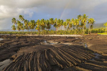 USA, Hawaii, Big Island, Pu'uhonua o Honaunau National Park, Lavaküste und Regenbogen - FOF10633