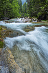 Italy, Trentino, Travignolo river, Parco Naturale Paneveggio Pale di San Martino, Val Di Fiemme - RUEF02127