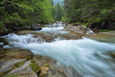 Italien, Trentino, Fluss Travignolo, Parco Naturale Paneveggio Pale di San Martino, Val Di Fiemme - RUEF02128