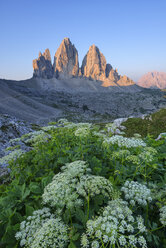 Italien, Sextner Dolomiten, Drei Zinnen bei Sonnenaufgang, Naturpark Drei Zinnen, Unesco Weltnaturerbe - RUEF02142