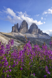 Italy, Sexten Dolomites, Tre Cime di Lavaredo, Nature Park Tre Cime, Unesco World Heritage Natural Site - RUEF02151