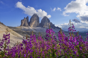 Italy, Sexten Dolomites, Tre Cime di Lavaredo, Nature Park Tre Cime, Unesco World Heritage Natural Site - RUEF02152