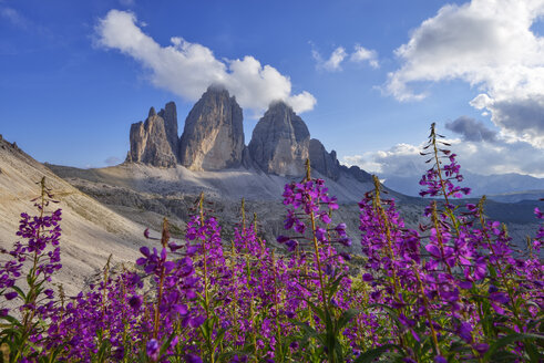 Italien, Sextner Dolomiten, Drei Zinnen, Naturpark Drei Zinnen, Unesco Weltnaturerbe - RUEF02152