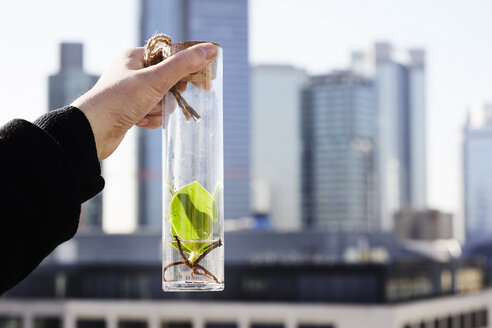 Deutschland, Frankfurt, Hand hält Pflanze in einem Glas vor Finanzviertel - FMKF05539