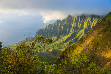 USA, Hawaii, Kalalau Aussichtspunkt über die Napali-Küste vom Kokee State Park aus - RUNF01830