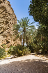 Sultanat Oman, Wadi Shab - WVF01133