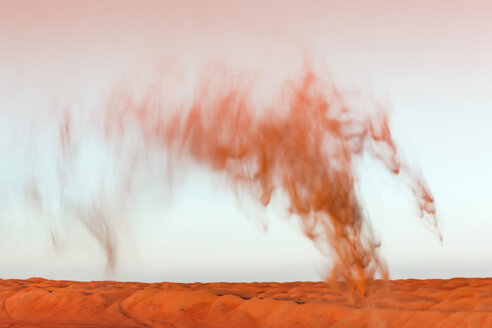 Oman, Wahiba Sands, Sand in die Luft schleudern - WVF01146