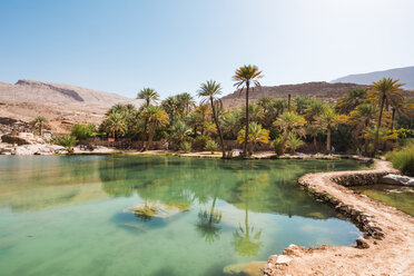 Arabien, Sultanat Oman, Palmen im Wadi Bani Khalid - WVF01154