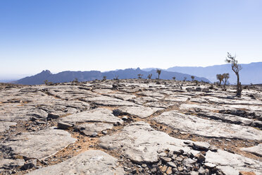 Felsige Hochebene bei Jebel Shams, Oman - WVF01182