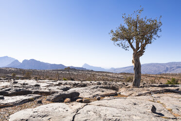 Felsige Hochebene bei Jebel Shams, Oman - WVF01183