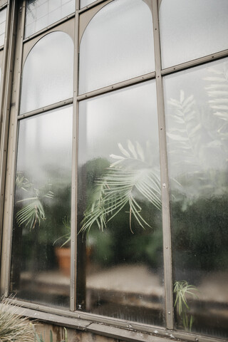 Fenster eines Gewächshauses, lizenzfreies Stockfoto