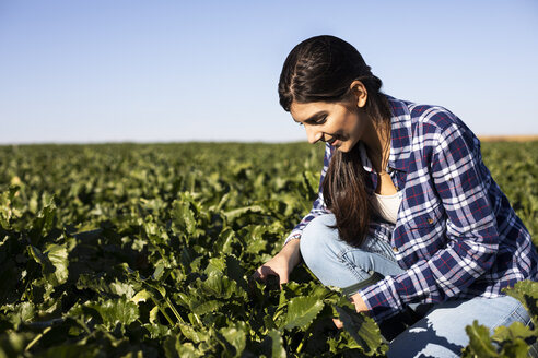 Young woman farmer looking on plants - ABZF02327