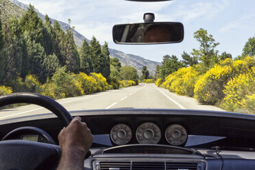 Greece, man in car on country road with blooming broom - MAMF00538