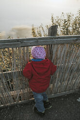 Rear view of toddler girl in warm clothes standing at a wooden fence in nature - DWF00395