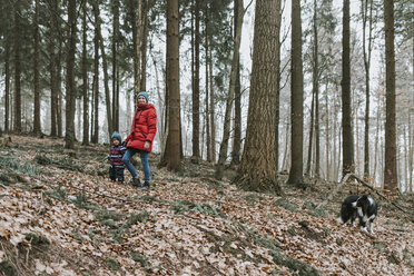 Mutter mit kleiner Tochter und Border Collie im herbstlichen Wald - DWF00399