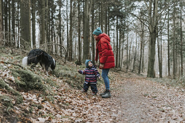 Mutter mit kleiner Tochter und Border Collie im herbstlichen Wald - DWF00401