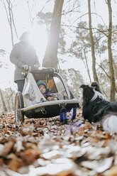 Mutter mit kleiner Tochter im Kinderwagen und Border Collie im herbstlichen Wald - DWF00428