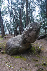 Hawaii, island of Molokai, the penis of Nanahoa - RUNF01870