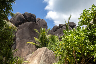 Seychellen, La Digue, Anse Source D'Argent, Granitfelsen - NDF00895