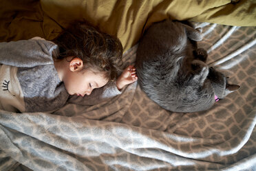 Kleines Mädchen und graue Katze schlafen auf dem Bett, Ansicht von oben - GEMF02916