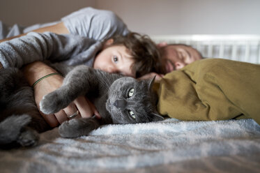 Portrait of grey cat resting on bed with toddler girl and father - GEMF02918