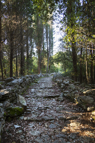 Italien, Ligurien, Küstenweg Punta Corvo, lizenzfreies Stockfoto