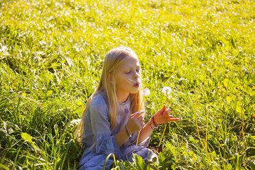 Mädchen sitzt mit Pusteblume im Feld - HSIF00543