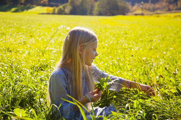 Girl sitting in field with blowball - HSIF00544