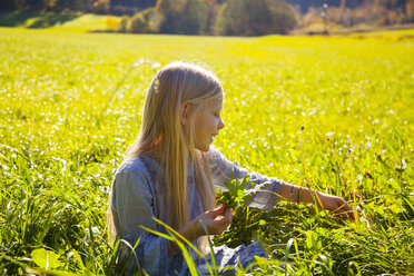 Mädchen sitzt mit Pusteblume im Feld - HSIF00544