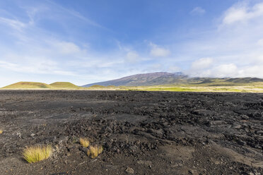 USA, Hawaii, Vulkan Mauna Loa, Lavafelder - FOF10685