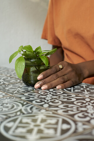 Nahaufnahme einer Frau mit Pflanze auf dem Tisch, lizenzfreies Stockfoto