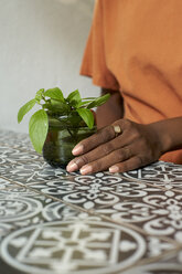 Close-up of woman with plant on table - VEGF00018