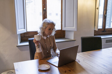 Mature businesswoman sitting at table with cup of coffee using laptop - FBAF00388