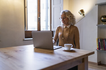 Mature businesswoman sitting at table with cup of coffee using laptop - FBAF00389