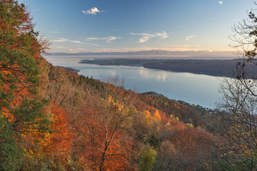 Deutschland, Baden-Würrttemberg, Bodensee, Sipplingen, Herbstwald, Alpen und See - SH02175