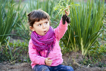 Porträt eines kleinen Mädchens im Garten, das eine kleine Tomatenpflanze in der Hand betrachtet - GEMF02926