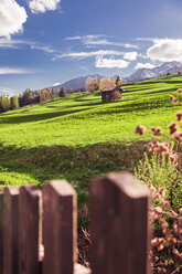 Italy, Trentino Alto-Adige, Vigo di Fassa, rural scene between Dolomites mountains - FLMF00184