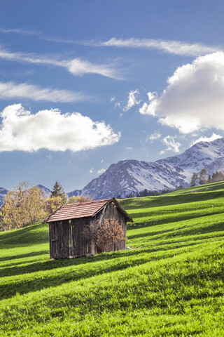 Italy, Trentino Alto-Adige, Vigo di Fassa, barn on alpine meadow stock photo
