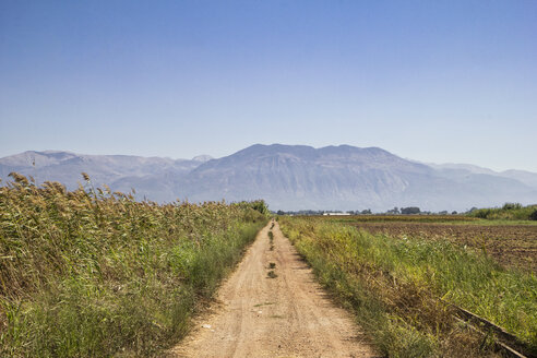 Greece, Messenia, dirt track near Kalamata - MAMF00603