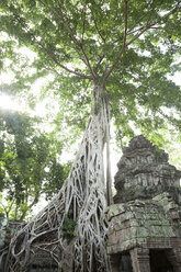 Ruinen des Tempels Ta Prohm - BLEF00161