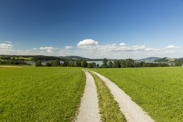 Österreich, Flachgau, Wallersee bei Seekirchen - AIF00666