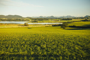 Österreich, Flachgau, Wallersee bei Seekirchen - AIF00667