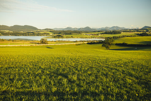 Austria, Flachgau, Wallersee near Seekirchen - AIF00667