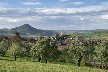 Deutschland, Weiterdingen, Wiese mit Streuobstbäumen und Hegau-Vulkan im Hintergrund - ELF02018