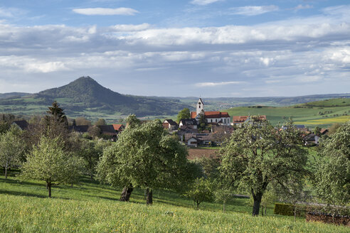 Deutschland, Weiterdingen, Wiese mit Streuobstbäumen und Hegau-Vulkan im Hintergrund - ELF02018